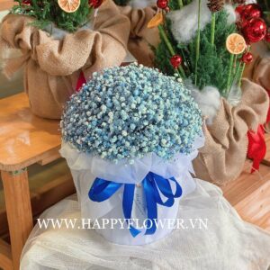 LOVELY BOX MIX BABY BLUE (giấy voan trắng)